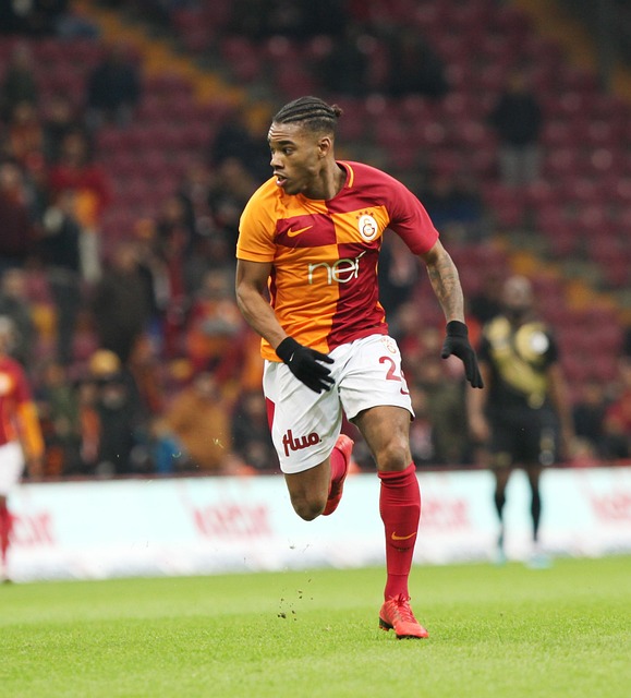 我们看到了 我们看到了